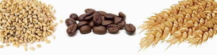ABC Labs - Agro Chemical Testing - Nuts, Beans, Wheat