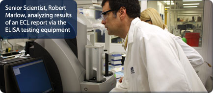 Senior Scientist, Robert Marlow, analyzing results of an ECL report via the ELISA testing equipment