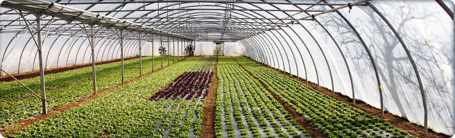 ABC Laboratories - AgroChem Development - Crop Protection