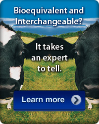 ABC Laboratories - Biosimilars - Cows
