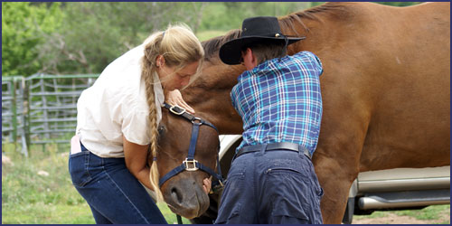 Equine Myofascial Release