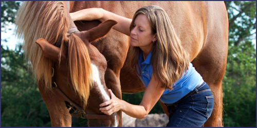 Equine Myofascial Release