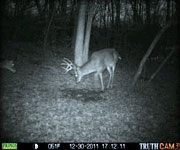 MoDeerHunts - Hunting Photos