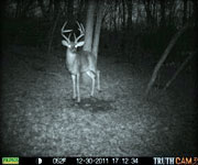 MoDeerHunts - Hunting Photos