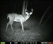 MoDeerHunts - Hunting Photos