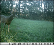 MoDeerHunts - Hunting Photos