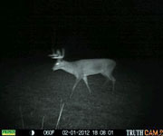 MoDeerHunts - Hunting Photos