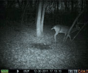 MoDeerHunts - Hunting Photos