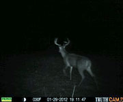 MoDeerHunts - Hunting Photos