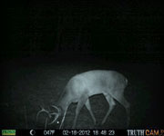 MoDeerHunts - Hunting Photos