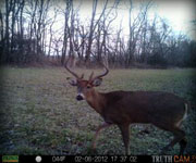 MoDeerHunts - Hunting Photos