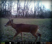 MoDeerHunts - Hunting Photos
