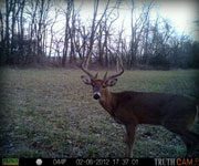 MoDeerHunts - Hunting Photos