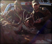 MoDeerHunts - Hunting Photos