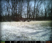 MoDeerHunts - Hunting Photos