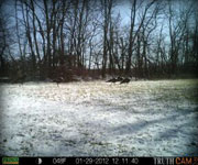 MoDeerHunts - Hunting Photos